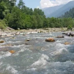 Beas River