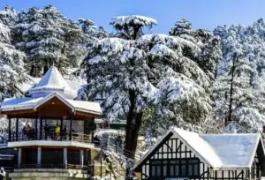 Shimla Snow Trip