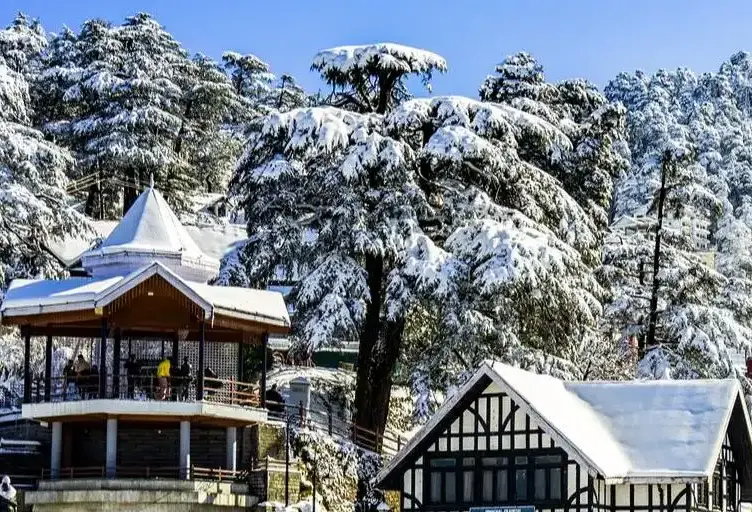 Shimla Snow Trip