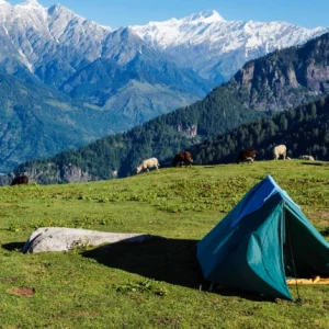 Camping in Himachal